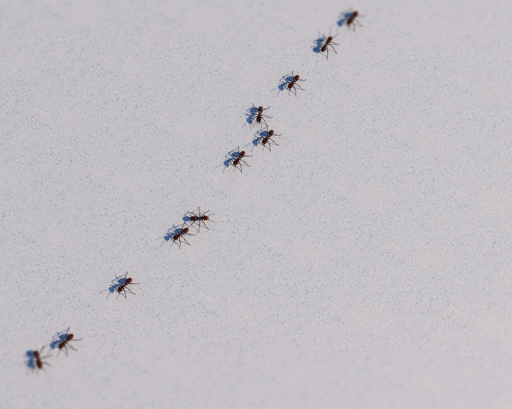Perils of Popularity. Learn something new, and that's saying a lot, considering how much you Wisdom Seekers already know. Among other things, you might learn something new about flies.